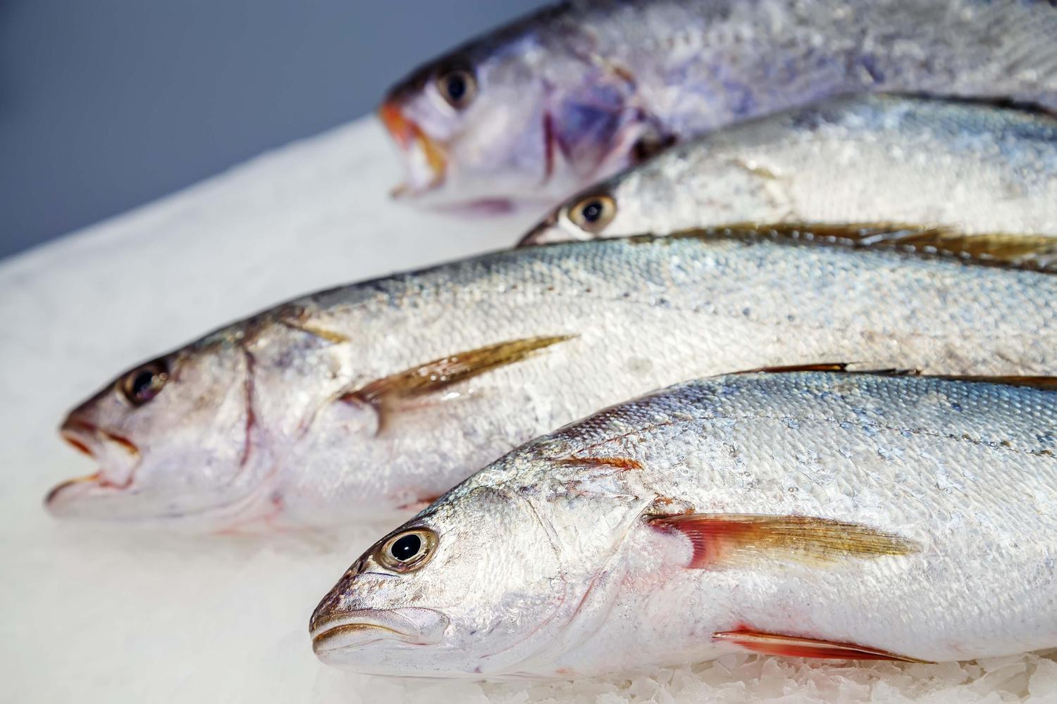 Pourquoi le poisson est un aliment à consommer sous conditions